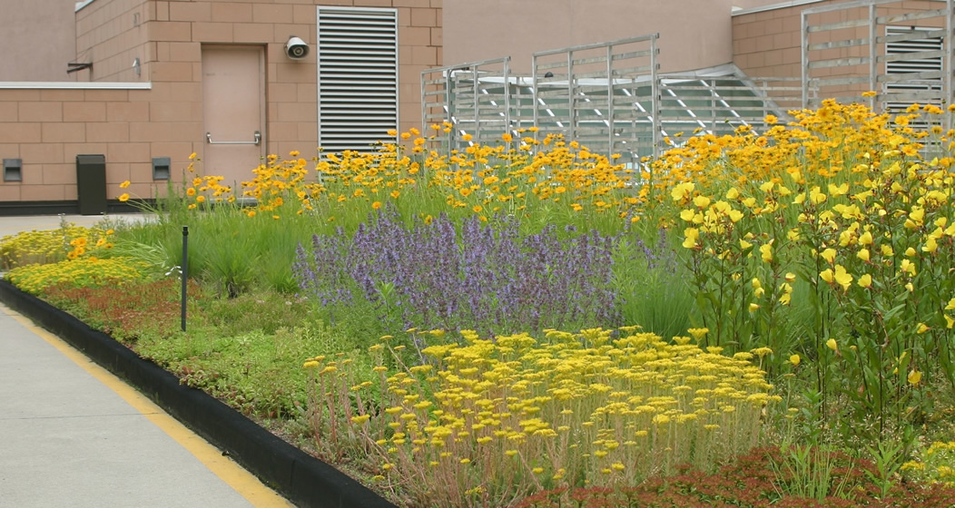 central_ymca_garden
