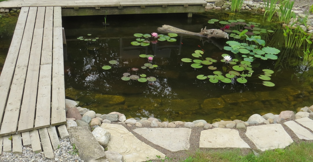 duchess_pond