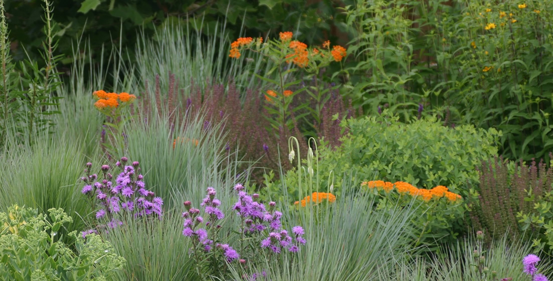 metcalf_garden