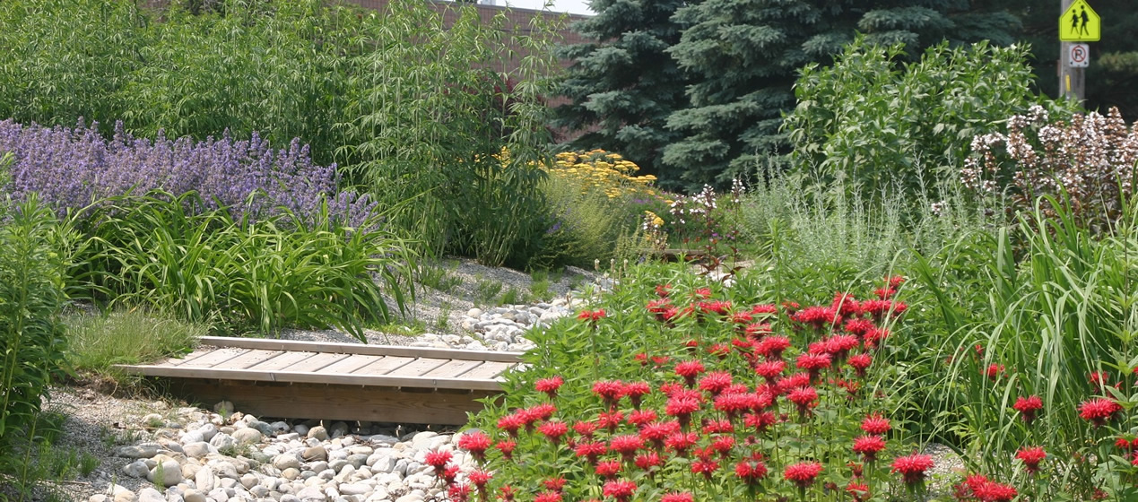 woodstock_rain_garden